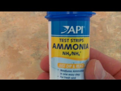 testing my tap water before using sodium thiosulphate in my 6ft fish tank