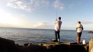 Daiwa certate 13 2004 ch