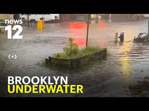 12 News Brooklyn