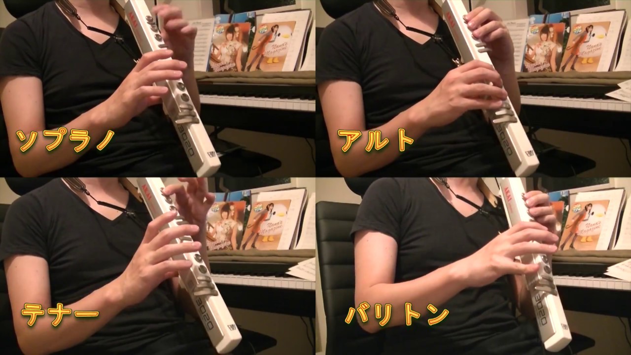 ようこそジャパリパークへ Welcome to the Japaripark 【EWI4重奏】