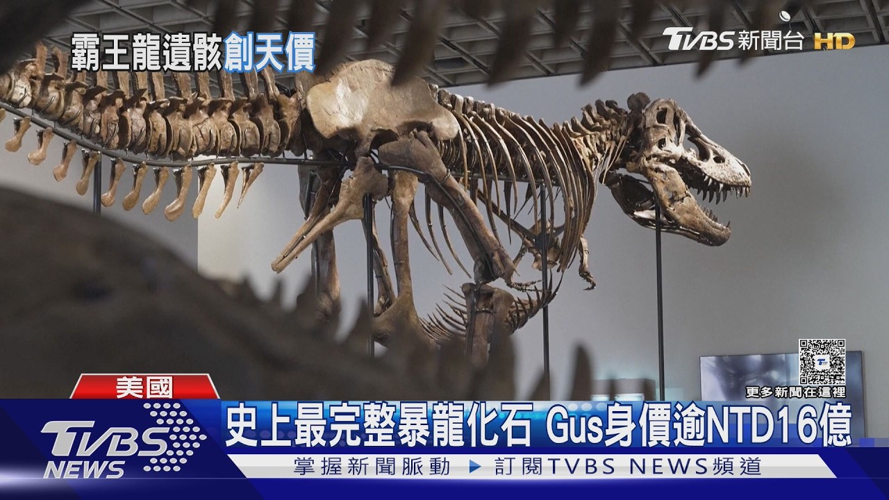影音/全球瘋搶恐龍化石 史上最大也最貴 暴龍Gus骸骨16億成交