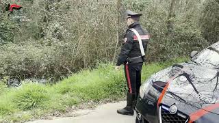 contrasto-ai-reati-ambientali-sequestri-e-denunce-dei-carabinieri