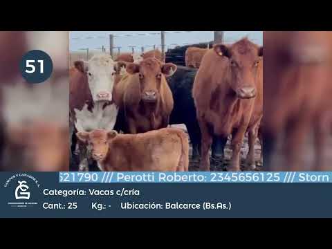 Lote VC C/ CRIA- Balcarce BS AS