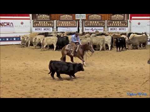 Cutting horse Special Nu Baby working compilation