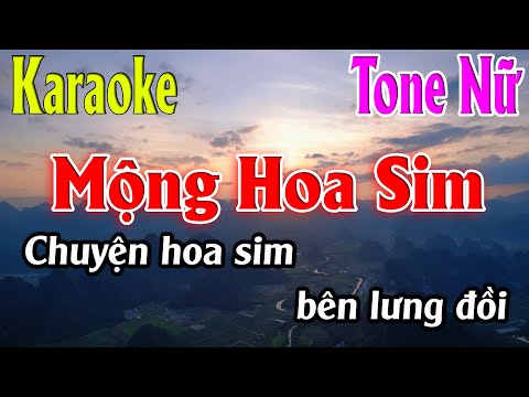 Mộng Hoa Sim Karaoke Tone Nữ ( Am ) Karaoke Lâm Organ  -  Beat Chuẩn
