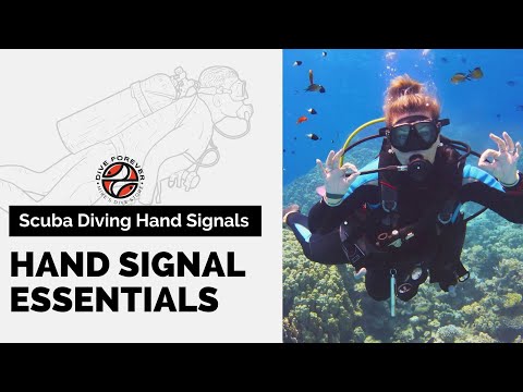 Scuba Diving Hand Signals: Essential Hand Signals
