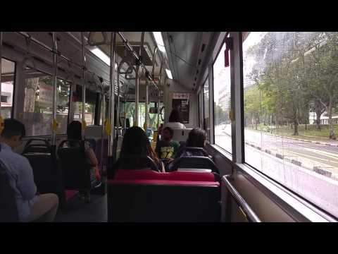 SMB3081G on 990 SMRT MAN A22 NL323F Gemilang MAN Lion City Bus