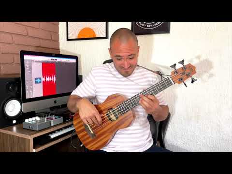 Kala U-Bass Wanderer 4 string bass ukulele with roundwound strings image 13
