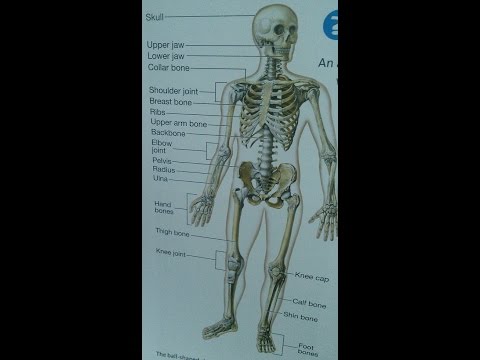 Tuberculosis Of Bones