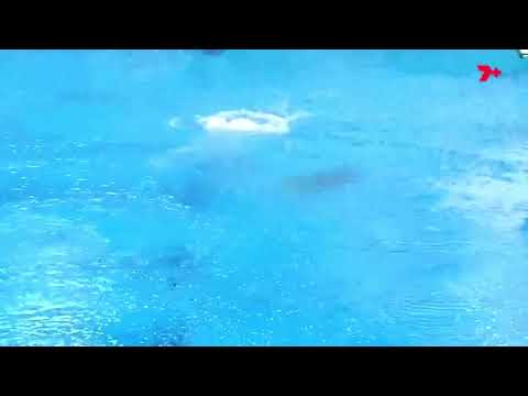 Sam Fricker || 207c 10m AUS Opens 2022