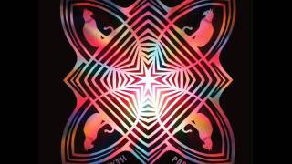 Chris Forsyth -Paranoid Cat -Anniversary Day