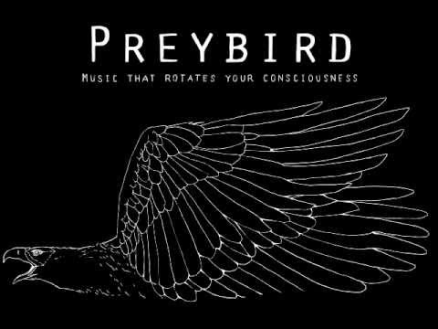 PREYBIRD (Per Jonsson) - Mind the Gap