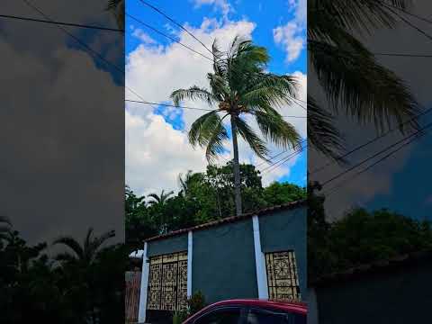 Turistiando en Colonia Magaña, Ahuachapán Centro