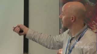 Polymers as containers and receivers for cell signals: a new route into synthetic biology?