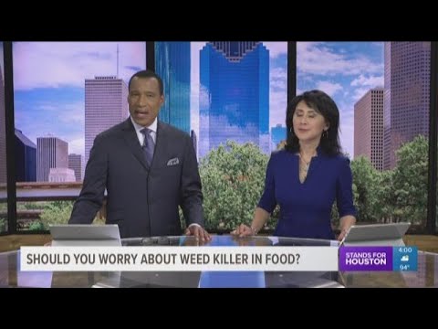 KHOU 11 News Top Headlines at 4 p.m. August 16, 2018
