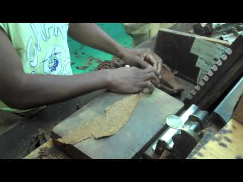 Rolling Cigars in Havana, Cuba @ Cohiba Factory El Laguito