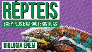RÉPTEIS: exemplos e características | Biologia para o Enem | Cláudia de Souza Aguiar