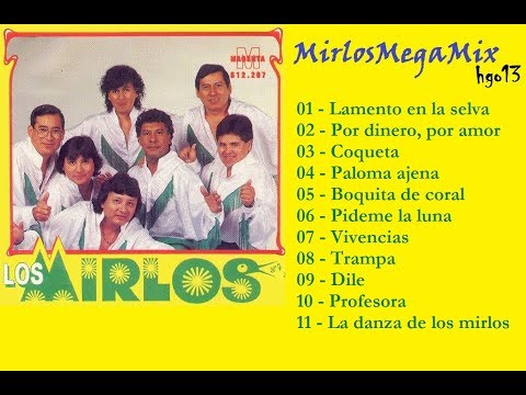 los mirlos