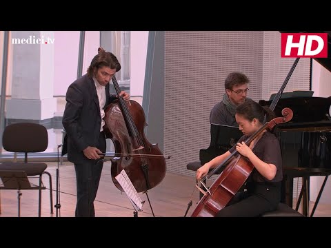 Master Class with Gautier Capuçon - Franck / Jules Delsart: Sonata for Violin and Piano