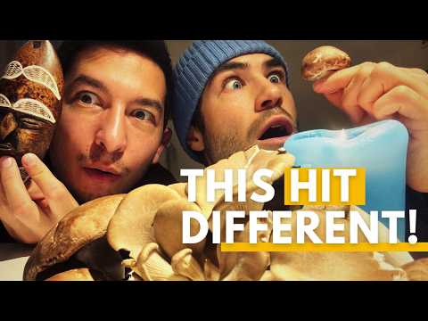 GROWn Ups Adventures and Avalon | Holistic Ayahuasca Retreats 