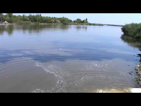 Repopulare Balta Ileana Razoare 700 Kg Crap astazi 6 August 2019 !!!