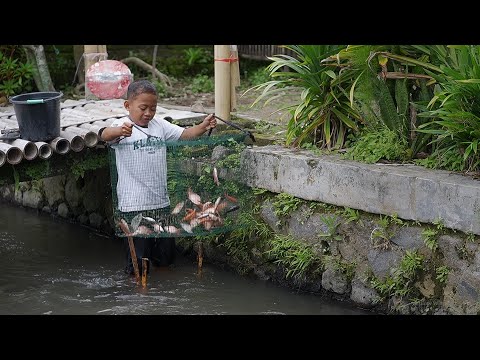 Smart Kids Make Fish Traps - Javanese Comedy (New 57)