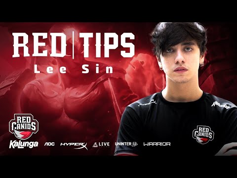 Erasus Lee Sin Montage - High Elo