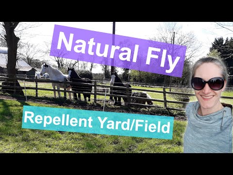 YouTube video about: How to keep flies away from horse stalls?