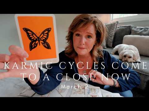 Your Daily Tarot Reading : Powerful Week Ahead - Eclipse In VIRGO | Spiritual Path Guidance