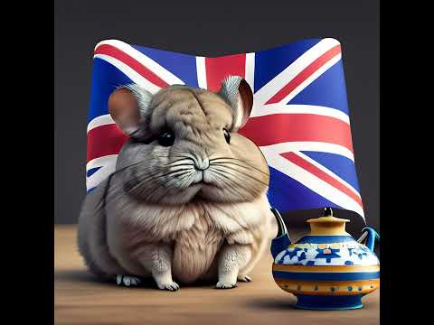 Voices from UK tech: Lorna Mitchel and Amanda Brock