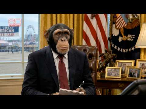 "60 SECONDS" - Trump's Great American Unfair