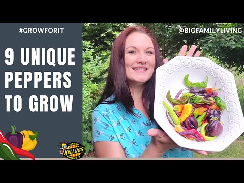 9 Pepper Varieties to Grow 🌶