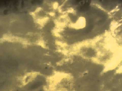 8-One minute of videoart every day - Eau bouillante