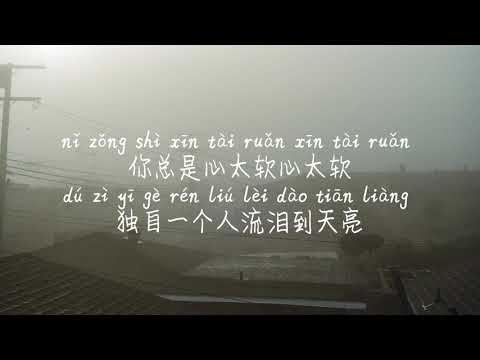 【心太软-蓝心羽(Cover:任贤齐)】XIN TAI RUAN-LAN XIN YU /TIKTOK,抖音,틱톡/Pinyin Lyrics, 拼音歌词,병음가사/No AD, 无广告,광고없음