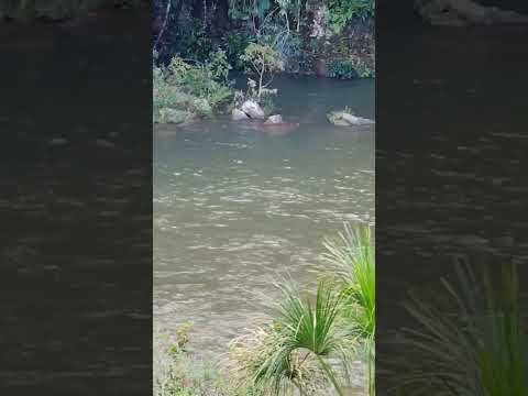 Cachoeira Sete Quedas, Rio Verde, Estado de Mato Grosso do Sul