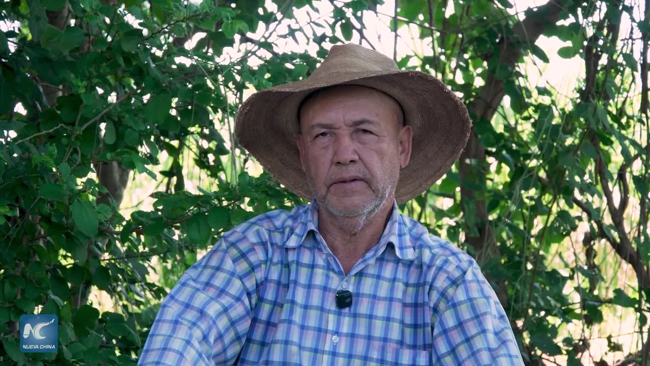 El Niño golpea al campo salvadoreño y agudiza riesgos para el agua y los alimentos
