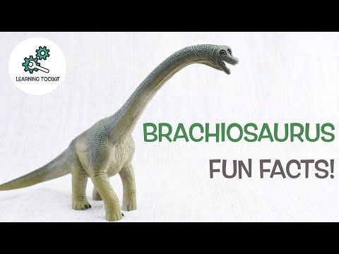 BRACHIOSAURUS FACTS! | Fun & Educational | Dinosaurs For Kids | Best Dinosaur Facts