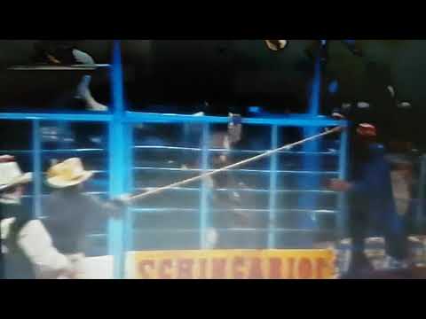 Alcides enes (xou da Xuxa)Renato zanovelo 1995