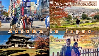 Japan Autumn Highlights | November Weather | Osaka, Tokyo, Kobe and Kyoto