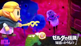 【知恵かり】初めての無の世界…！！リンクの出身地・ミナミノ村から、危険な裂け目の中に突入！？ #3【ゼルダの伝説知恵のかりもの】