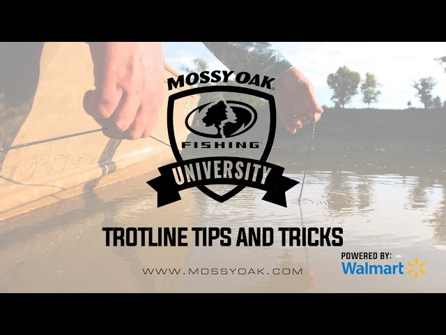 Hooks and Sinkers Bait and Tackle - We got some trotline string in