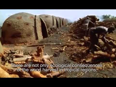 WDR Holzkohletest - Fernsehen markt english subtitle