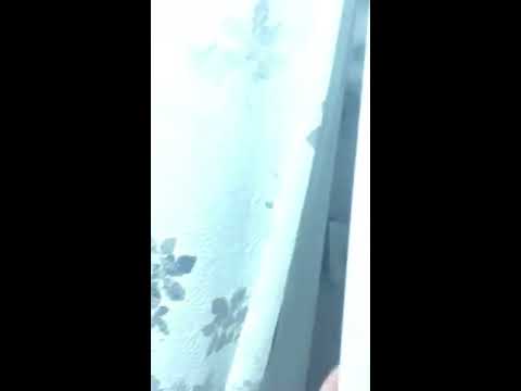 Wait St. & Huntington Ave #204 - Video 7 of 7