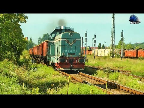 LDH1250 80-0489-2 & Marfar CFR MARFA Freight Train in Oradea Est Triaj - 08 September 2017