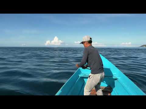 Catching big GT by BC setup with GongLei