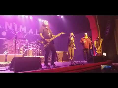 A.N.I.M.A.L en Auditorio Oeste