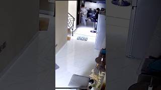 Download lagu JOYA CAKAR FAHRY😨‼️ mp3