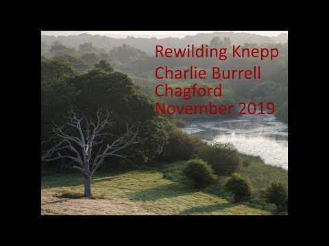 Rewilding Knepp, a talk by owner Charlie Burrell