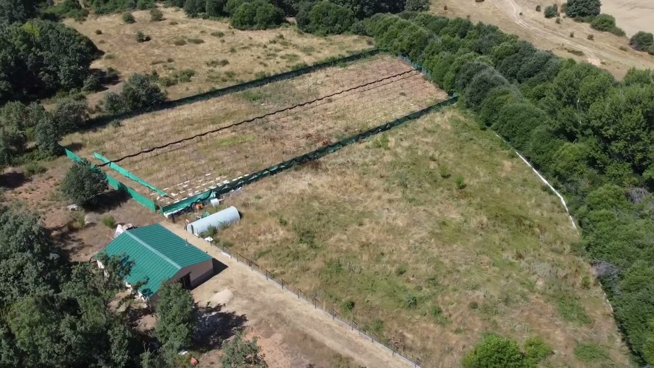 出售地块弗雷斯诺德坎特斯皮诺 - 1466