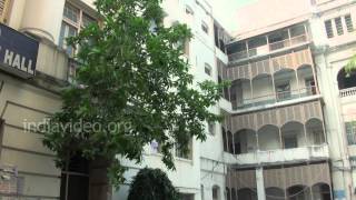 University of Calcutta 